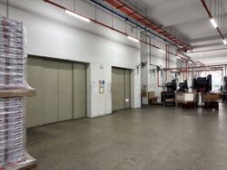 Gul Avenue (D22), Factory #471220911